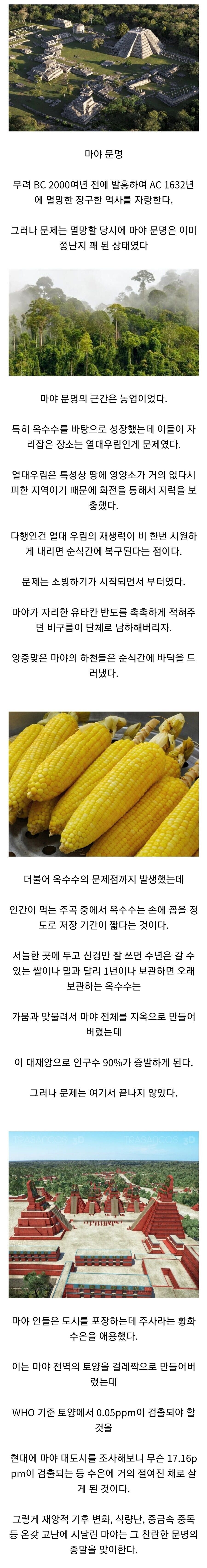 찬란했던 마야 문명이 순식간에 사라진 이유