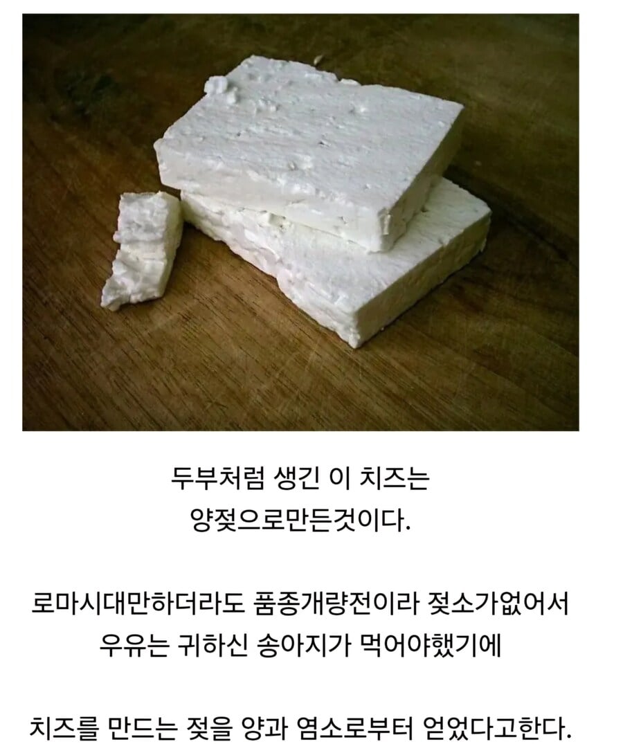 싸구려에서 고급으로 신분역전한 음식들