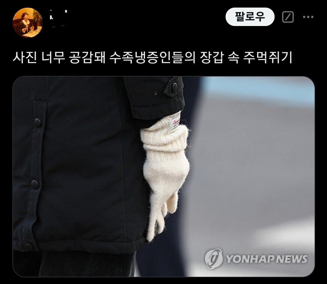 사진 너무 공감돼 수족냉증인들의 장갑 속 주먹쥐기.X