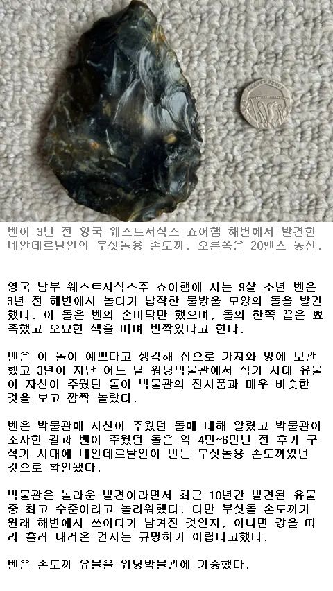 해변서 주운 돌이 네안데르탈인 유물.