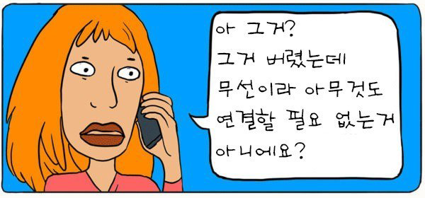 개발자 빡치는 만화