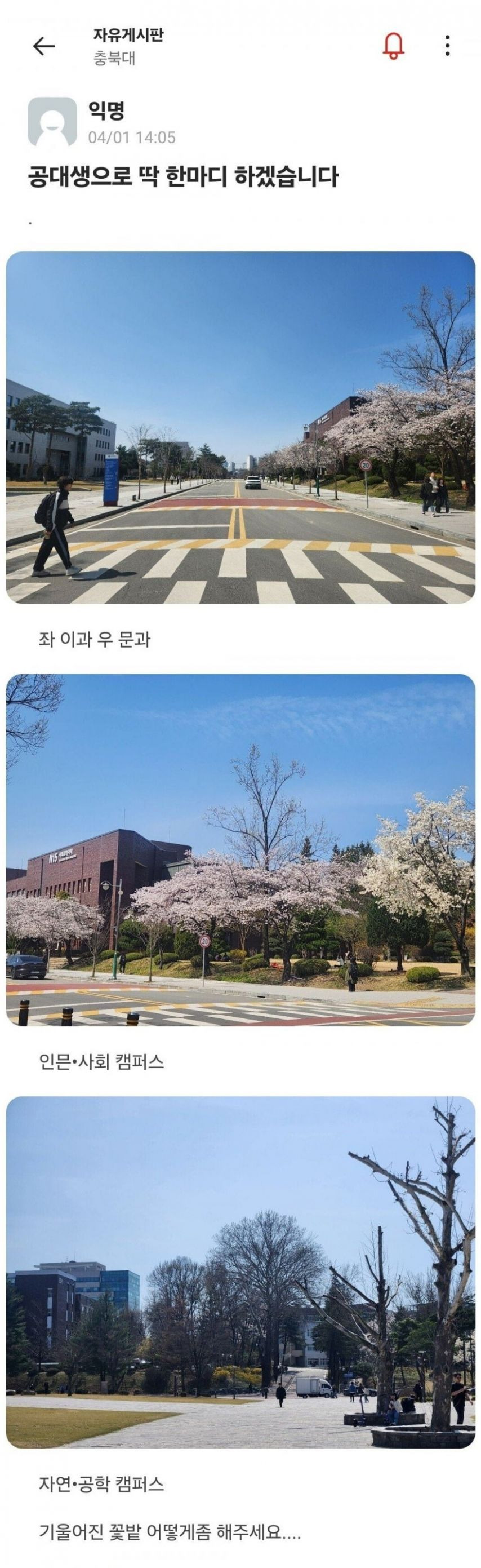 대학교의 기울어진 캠퍼스.jpg