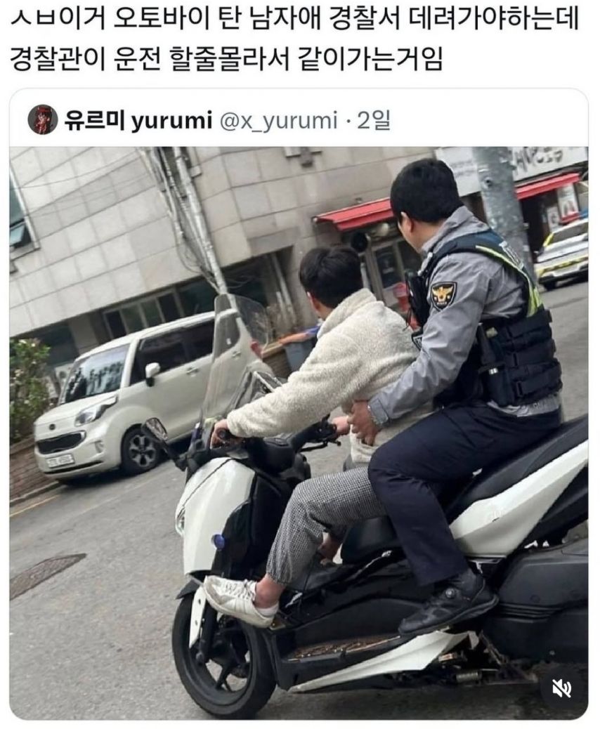 운전 못하는 경찰관의 최후