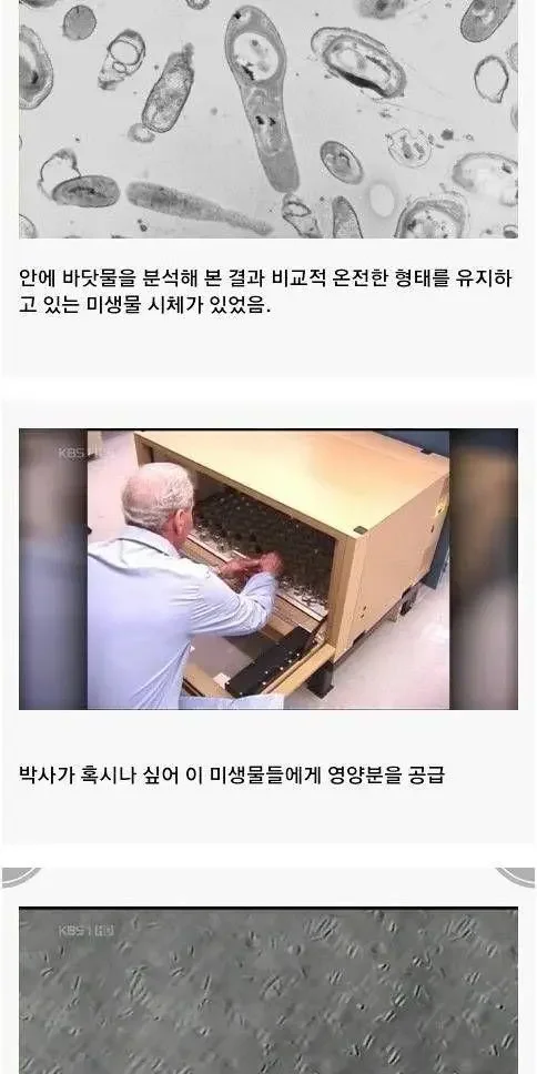 2억5천년전 바닷물 ㄷㄷ