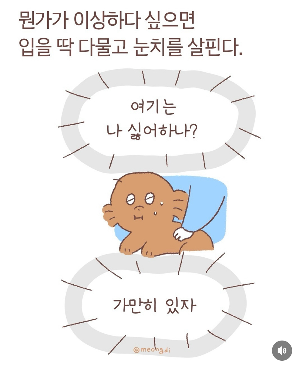 강아지들은 눈치가 빠르다