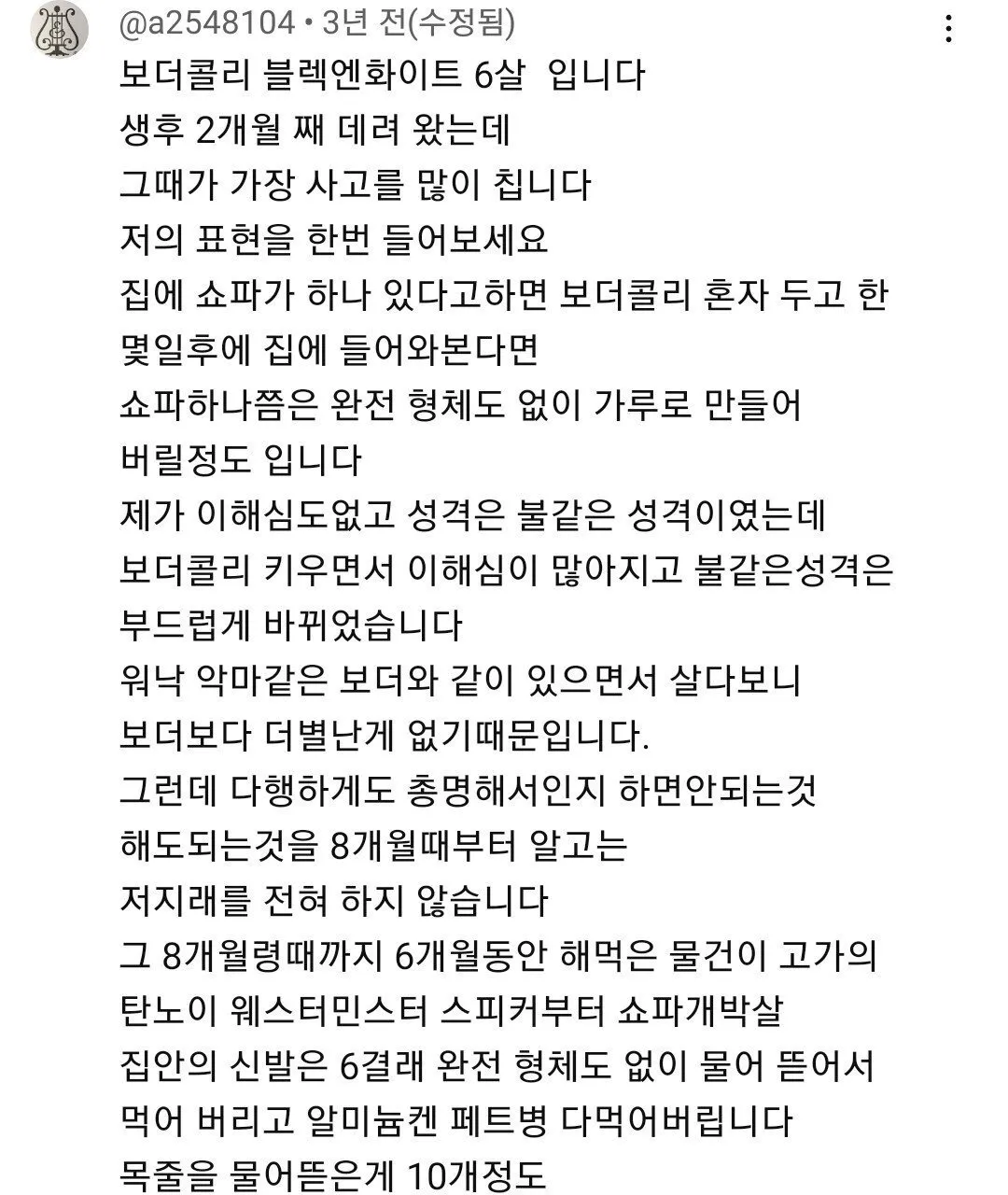 보더 콜리를 평화롭게 키우기 위한 산책표