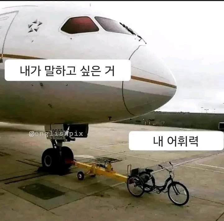 내가 말하고 싶은거 vs 내 어휘력