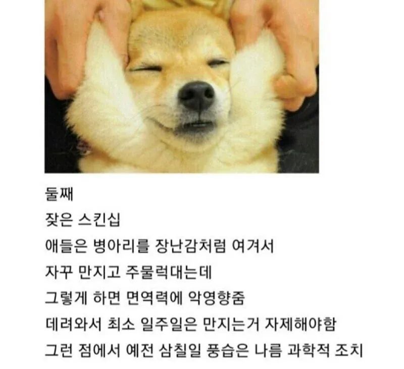 병아리사면 죽어버린이유.𝗝𝗣𝗚