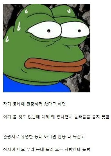 전세계 지방 사람들의 공통점...JPG