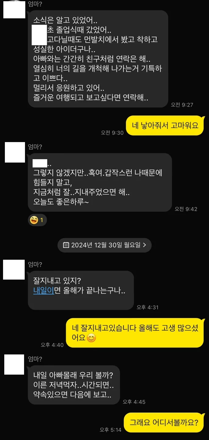 20년만에 엄마 처음보고 온 디시인.jpg