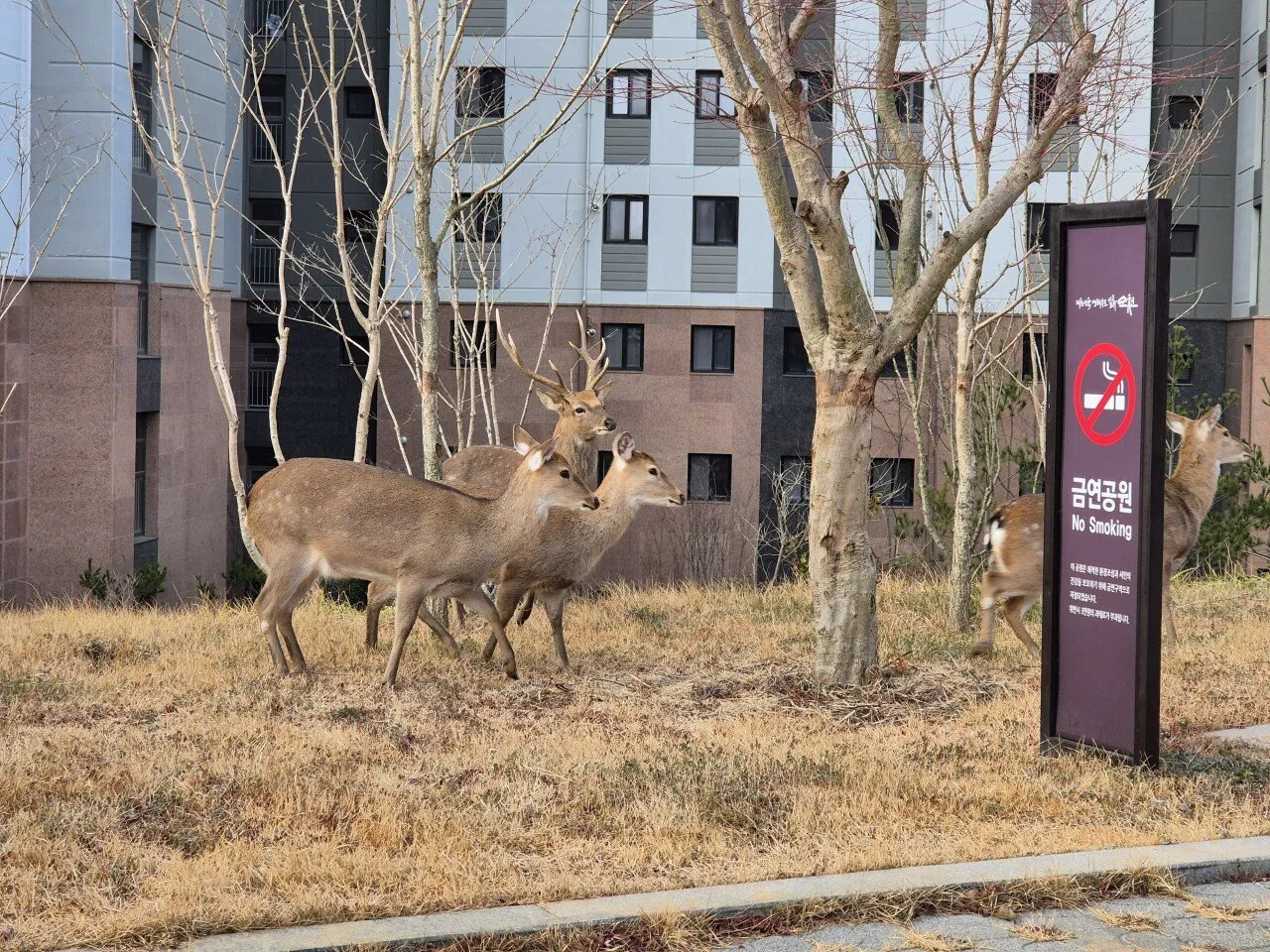 전라남도 순천시의 한 아파트단지 근황