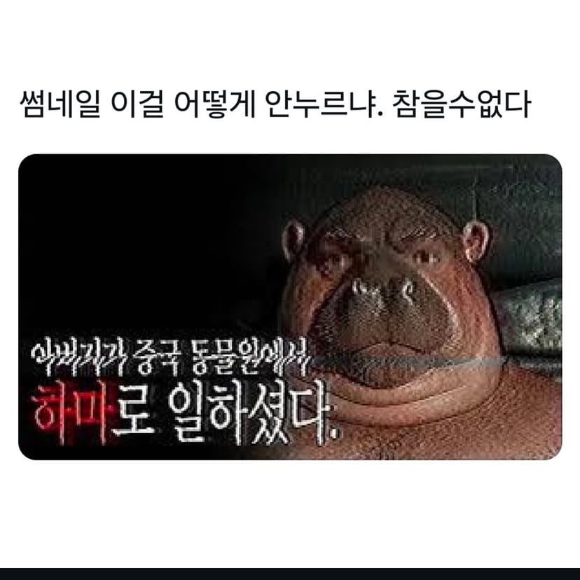 AI도 궁금해서 눌러보는 썸네일