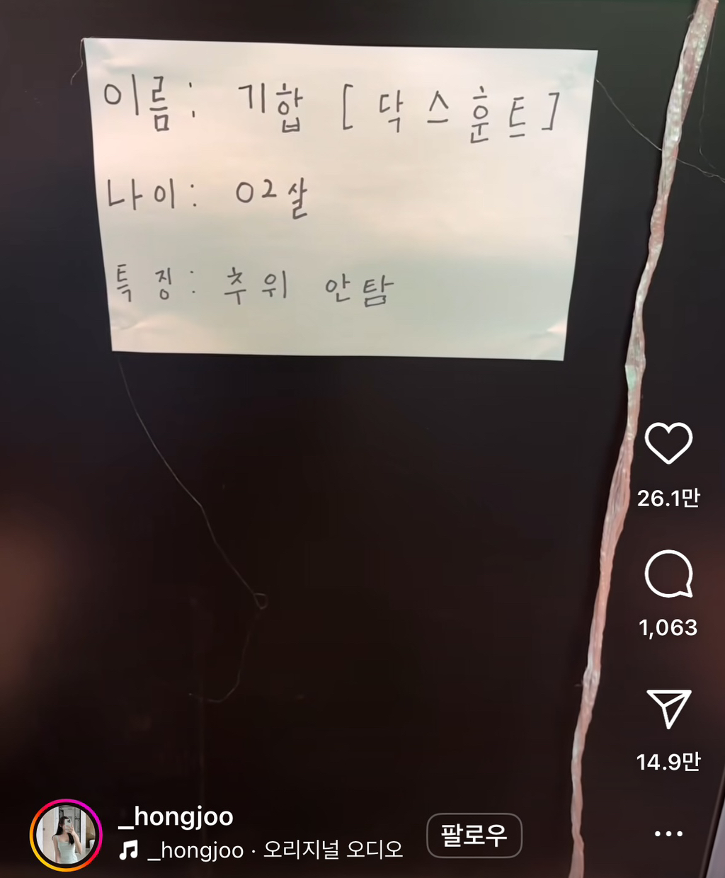 강아지 추위 덜 탄다고해도 겨울이 이건 학대지;