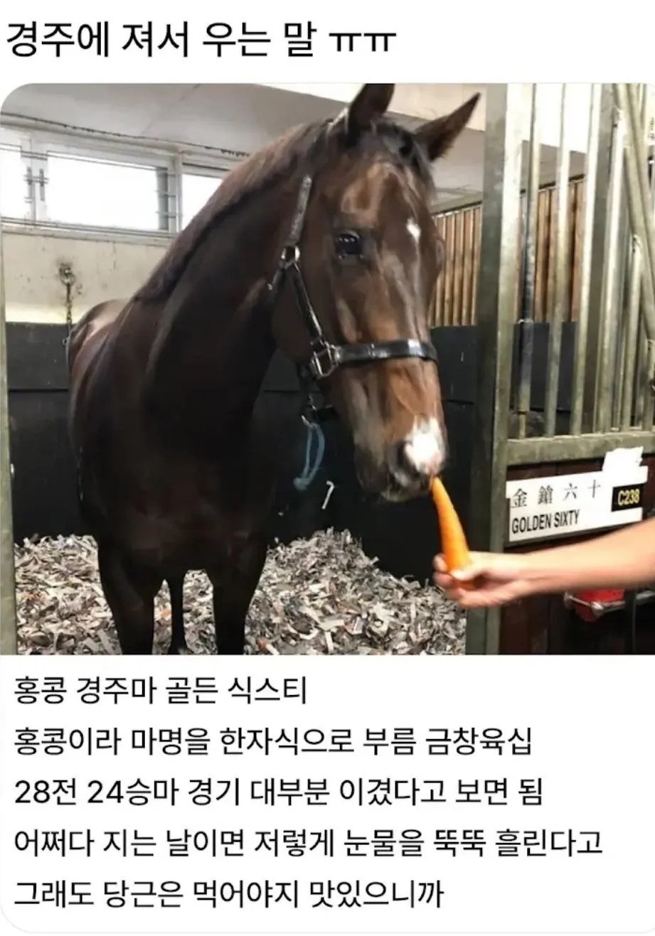 경기에서 지고 분해서 우는 말