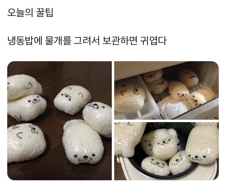 냉동밥 보관 꿀팁