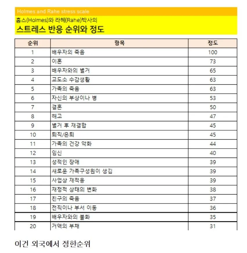 인간이 살면서 느끼는 스트레스 순위