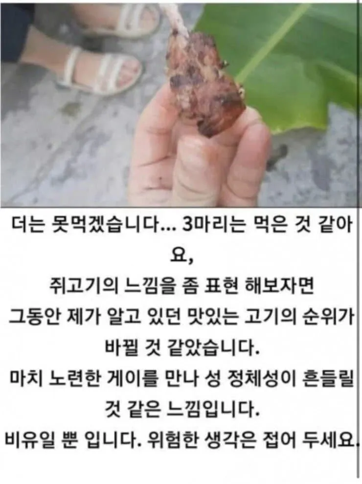 쥐고기 구워 먹은 사람이 남긴 후기