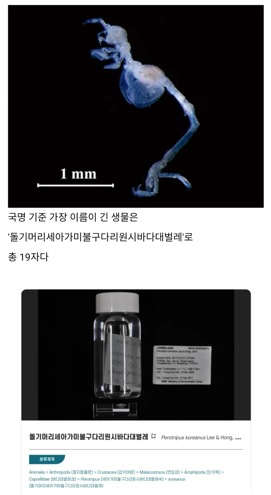 한국어로 이름이 가장 긴 생물