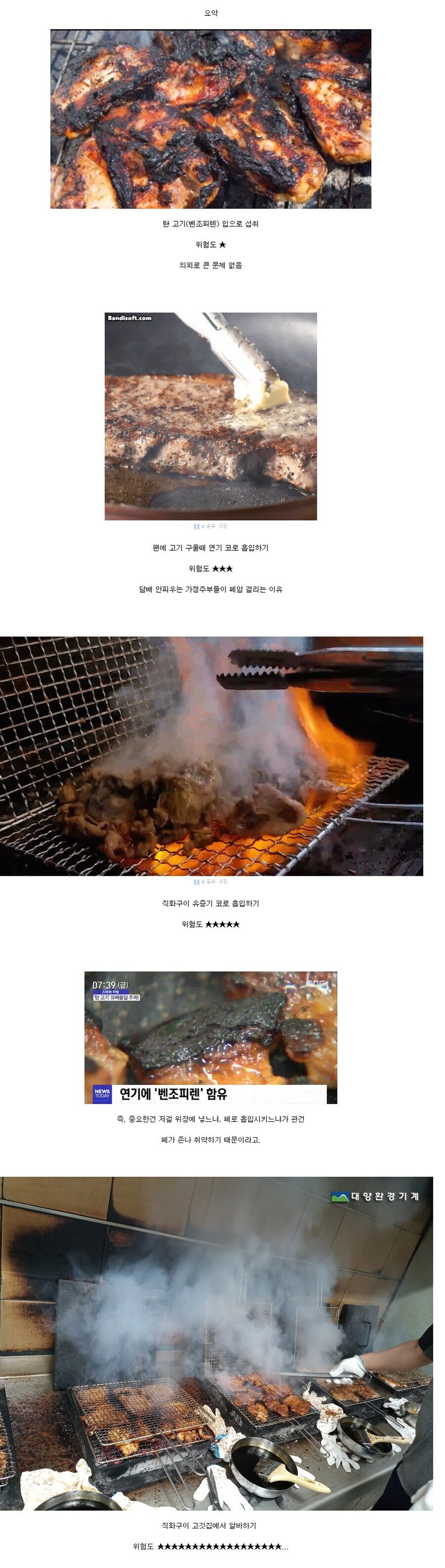 화학과 교수가 말하는 탄 고기와 암의 연관성