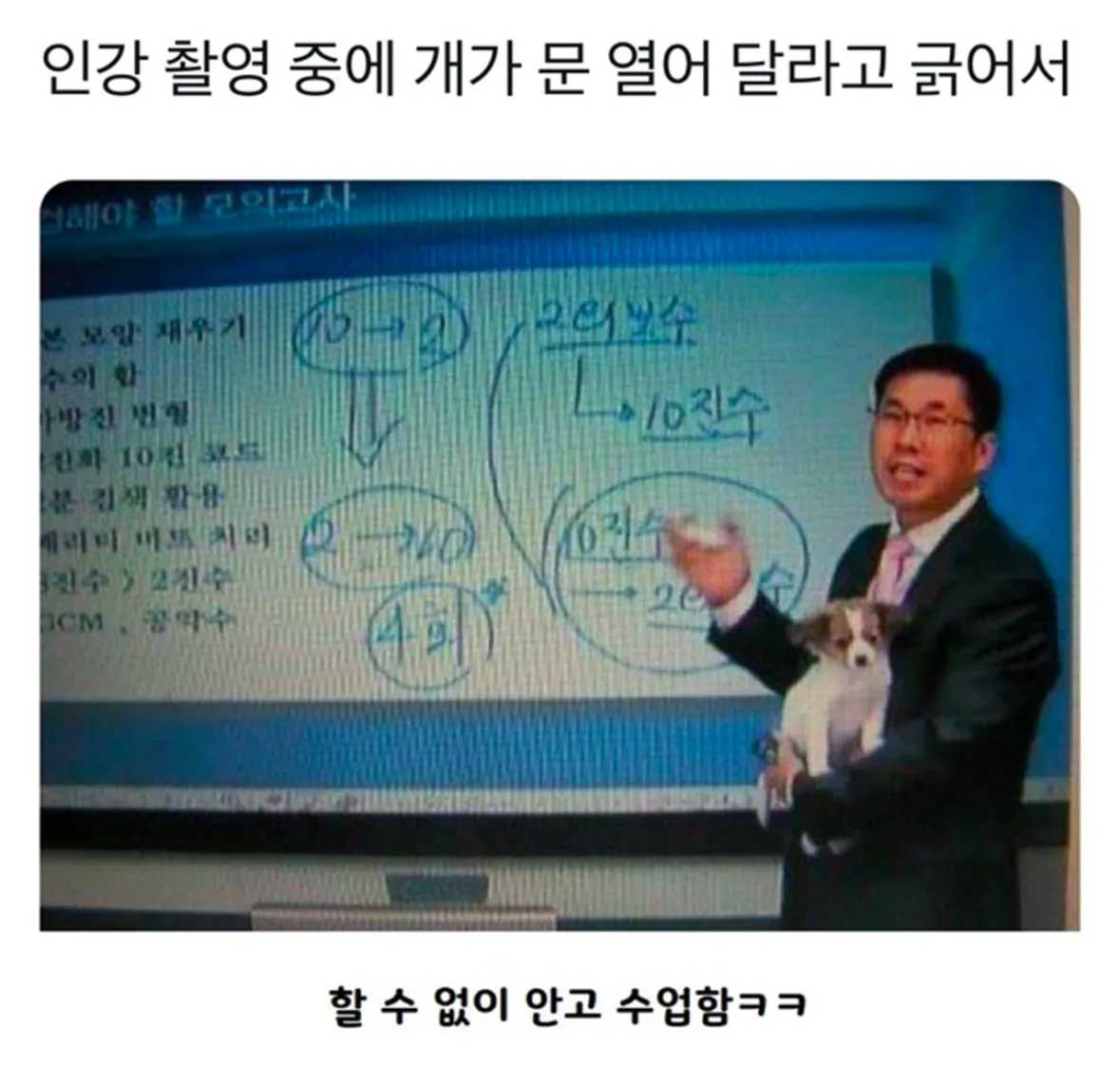 인강 중에 기습한 댕댕씨.jpg