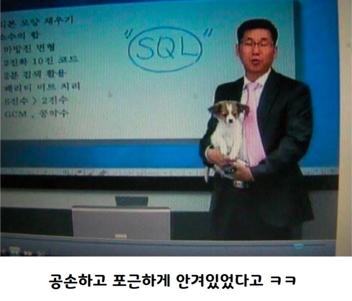 인강 중에 기습한 댕댕씨.jpg