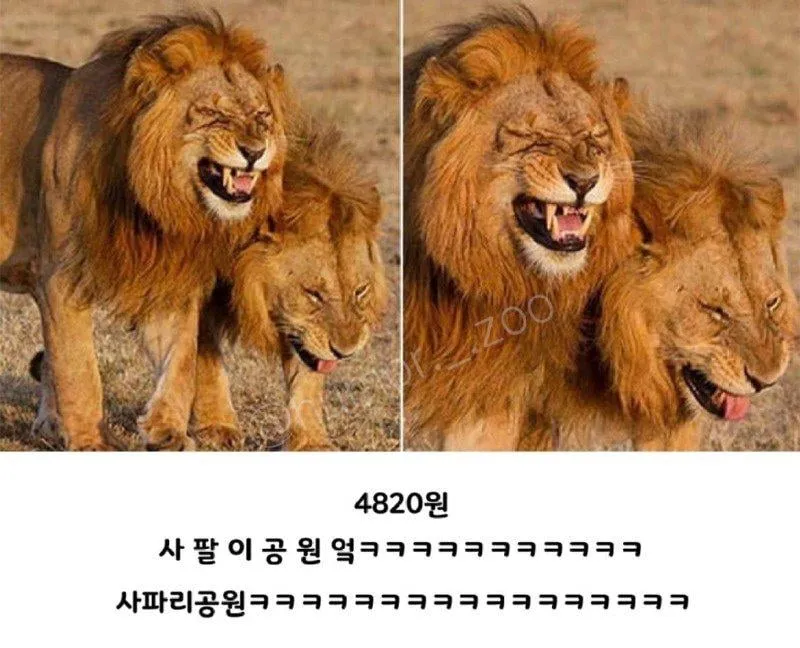 요즘 동물원 입장료 수준...