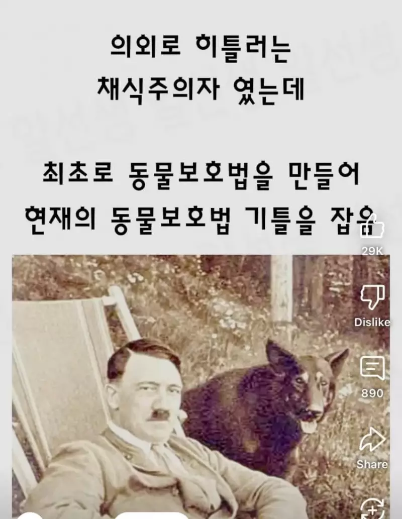 히틀러 의외의 업적.jpg