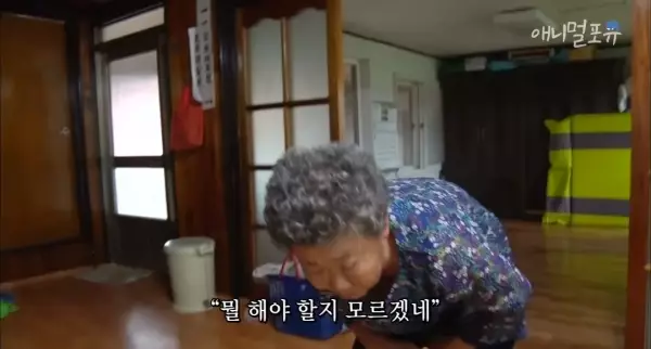 치매 걸린 아내가 4년만에 끓여준 미역국..jpg