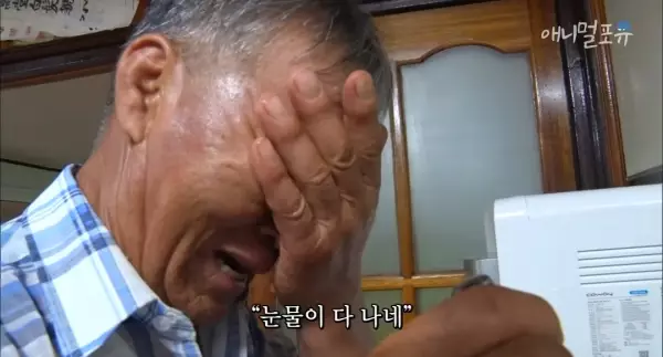 치매 걸린 아내가 4년만에 끓여준 미역국..jpg