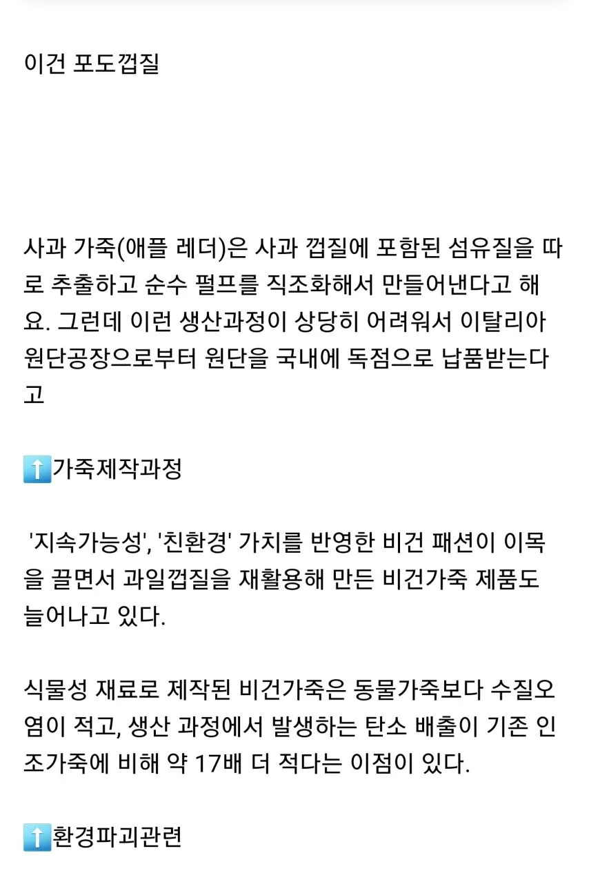 신기해서 올리는 사과껍질로 만든 가방.jpg