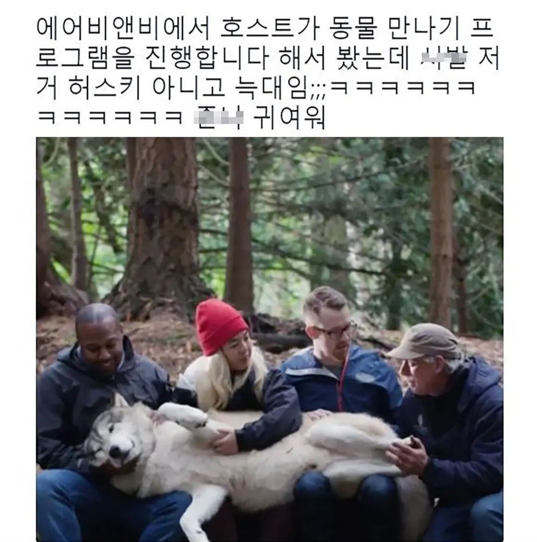 저 개 아니데옹 늑대인데옹