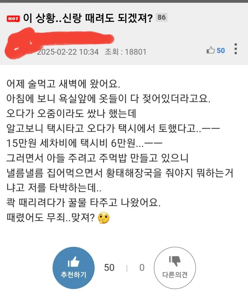 술 좀 마시고 집에 들어온 남편을 패려는 아내