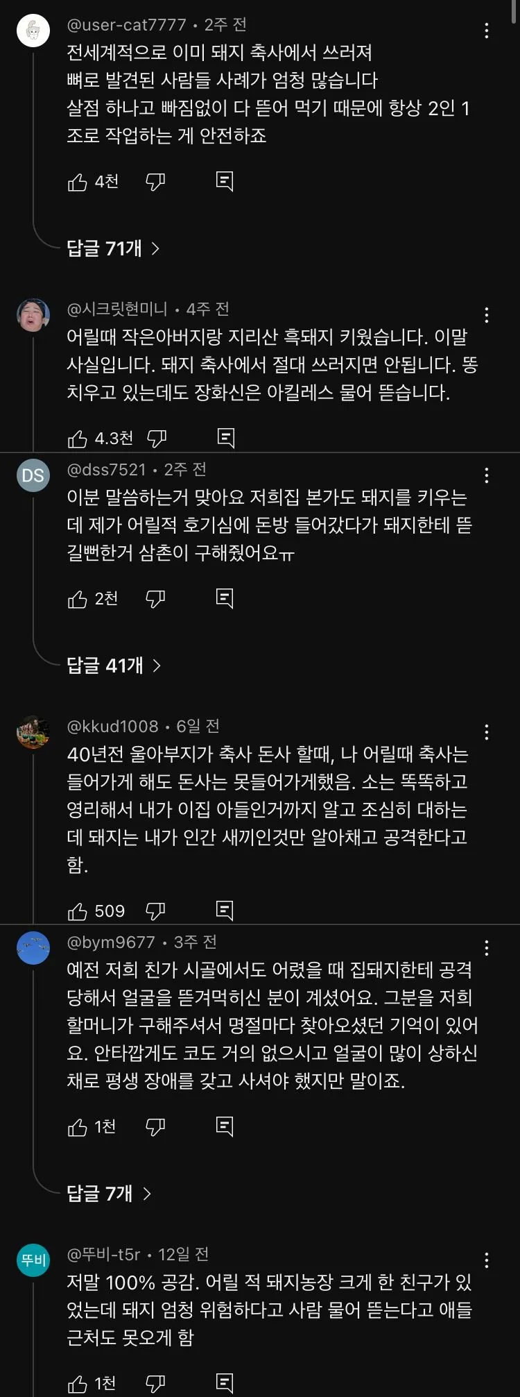 [괴담]우리가 돼지에 대해서 몰랐던 사실