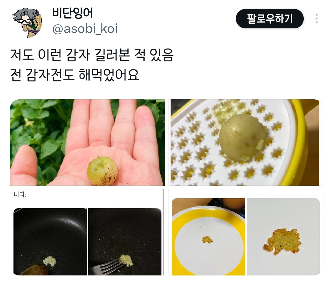 제가 재배한 파프리카 보실 분