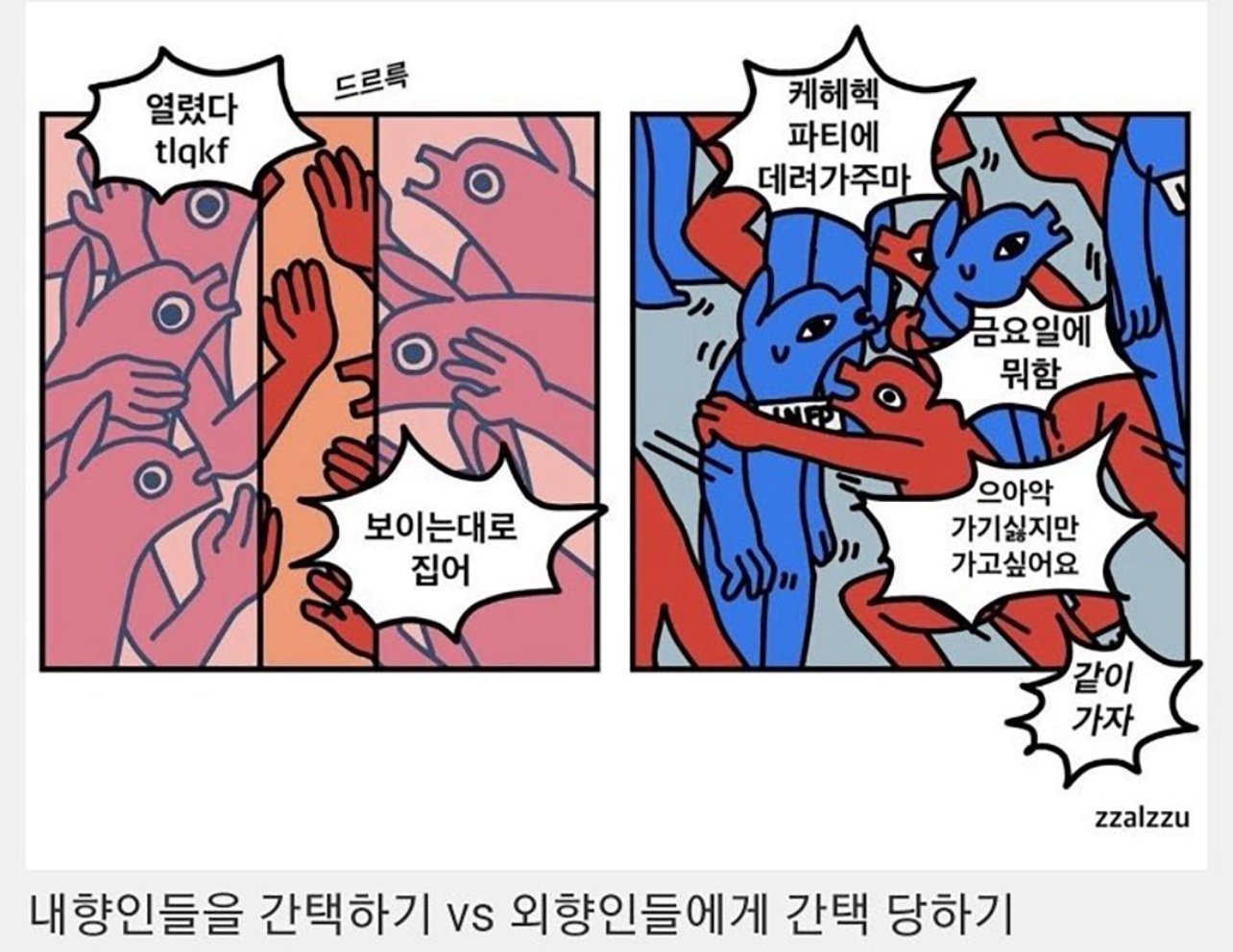 내향인 분양의 날