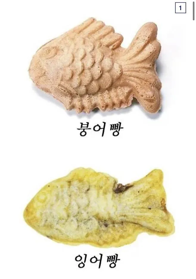 싱글벙글 붕어빵 물고기 시리즈