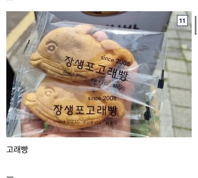 싱글벙글 붕어빵 물고기 시리즈