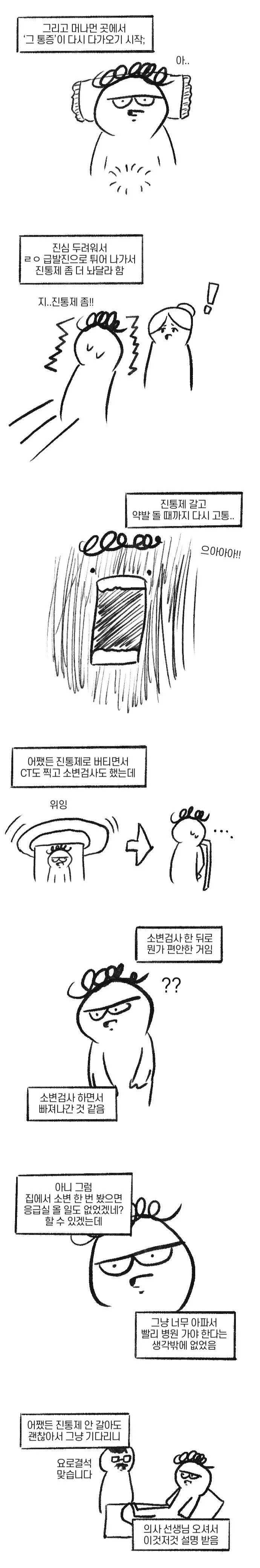 요로결석 베타테스트 한 만화.manhwa