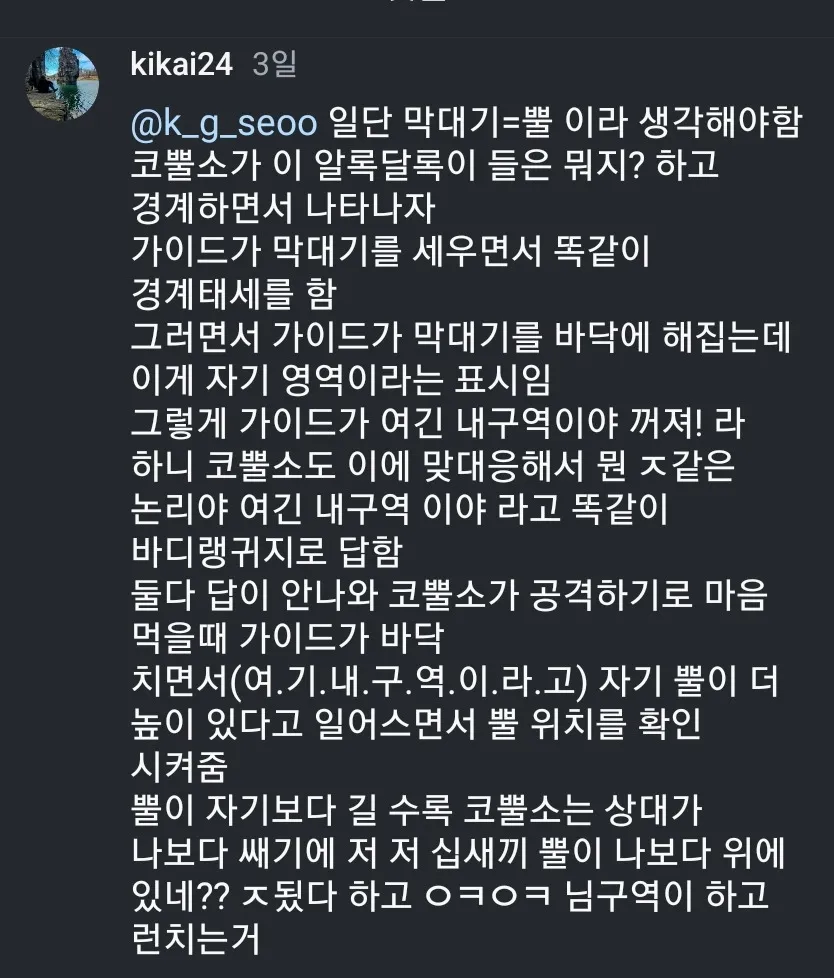 길거리에서 코뿔소 만나면 살아남는 법