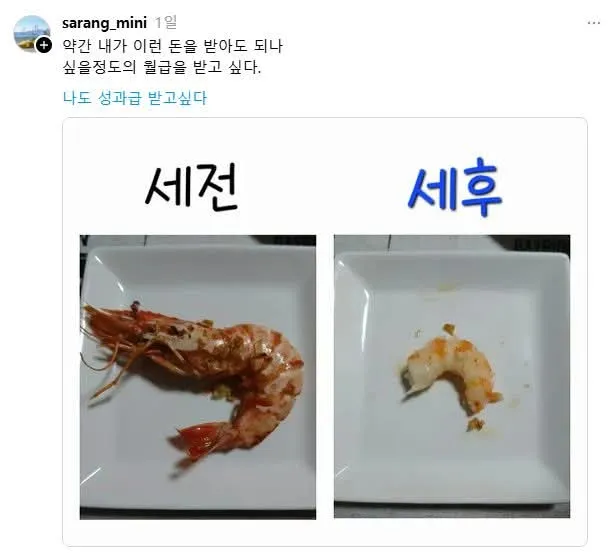 세전 세후