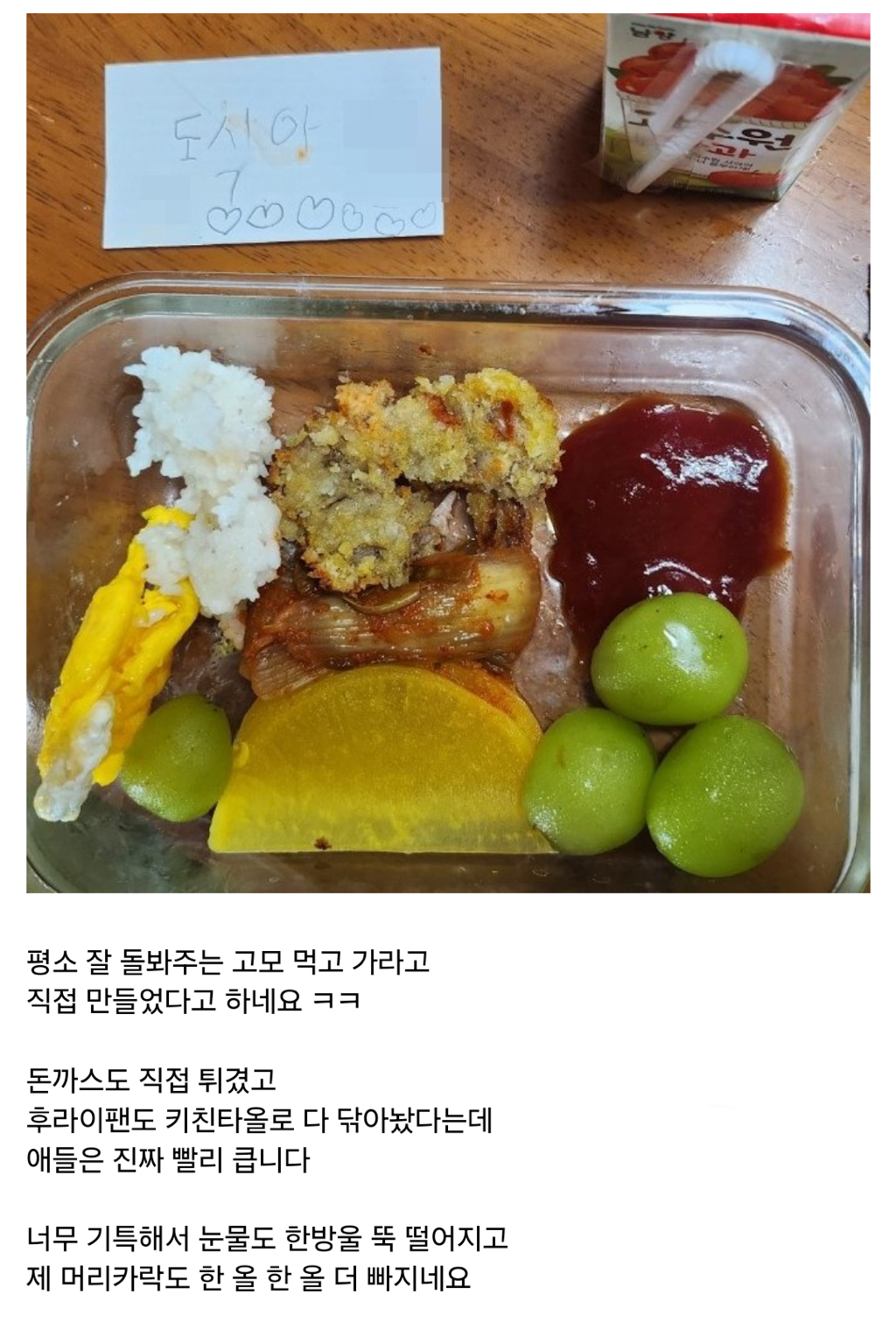 고모에게 도시락 싸준 조카