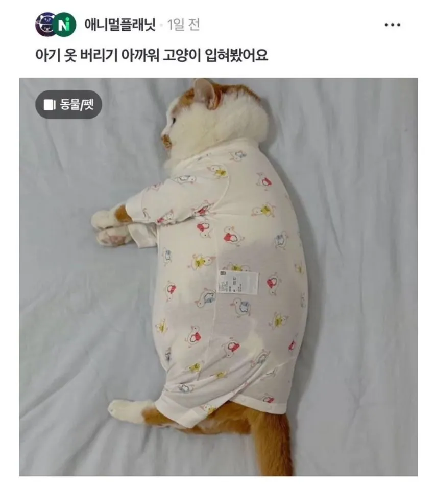 아기 옷 버리기 아까워서