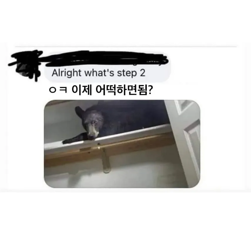 동물들도 추워해요 여러분의 집안으로 데려가주세요