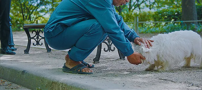  주인 따라서 저승길 간 반려견 순돌이 에피