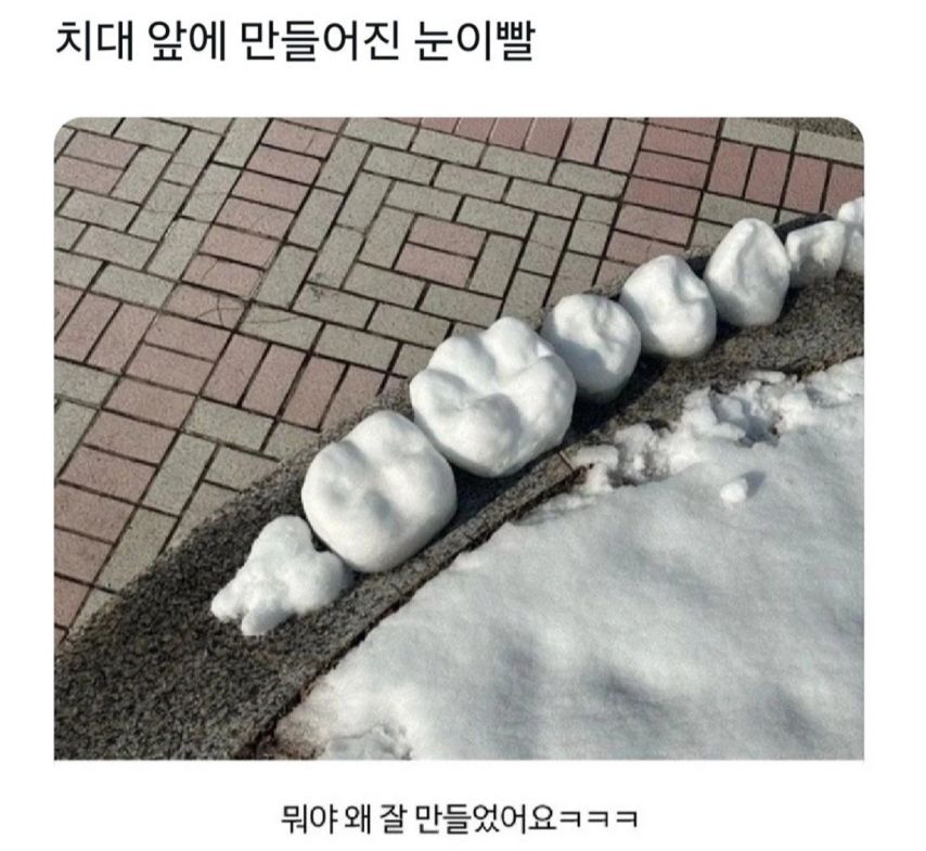 치대 앞에 만들어진 눈이빨(유머펌)ㅎㅎ