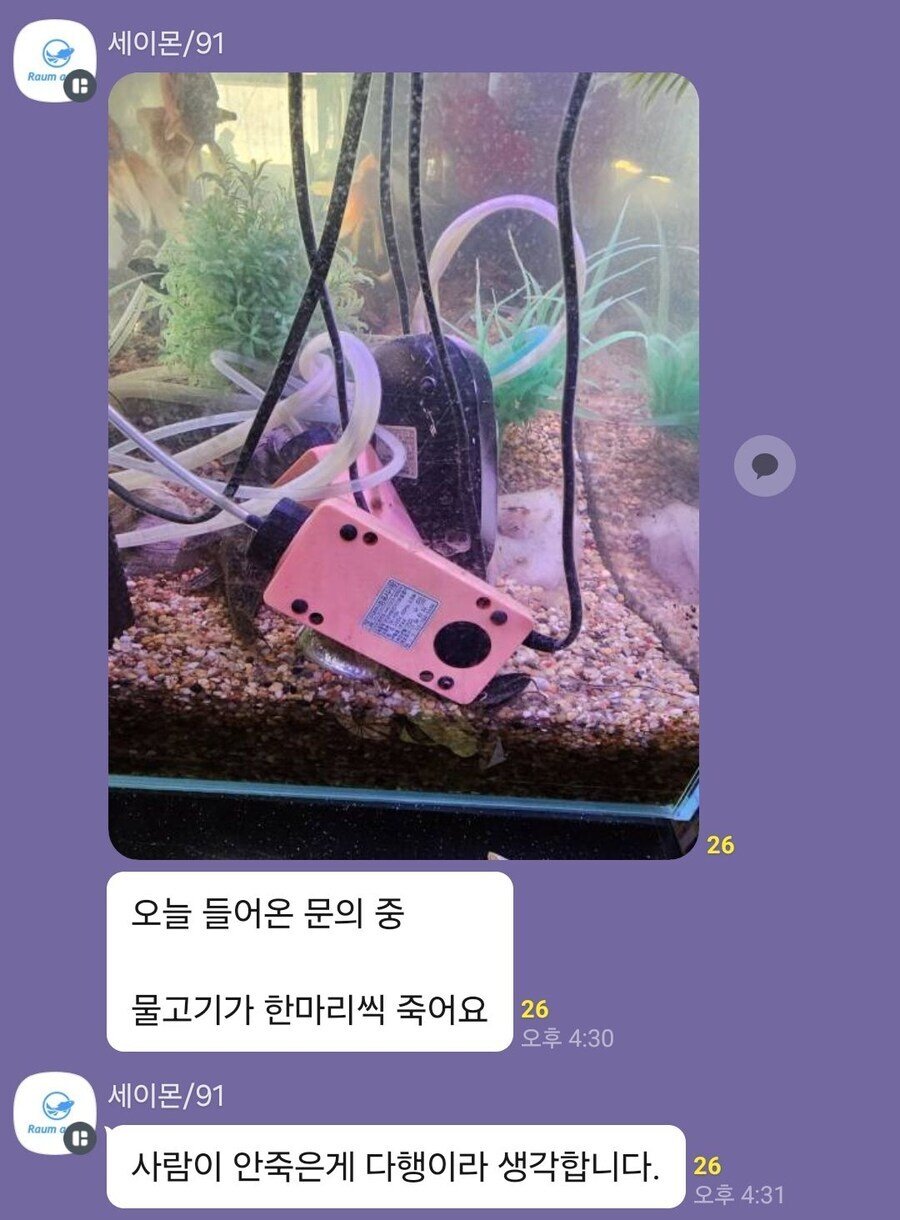 산소공급기 설치후 물고기 한마리씩 죽어요