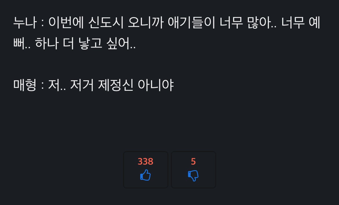 애를 셋 낳은 친누나의 충격적인 발언.jpg